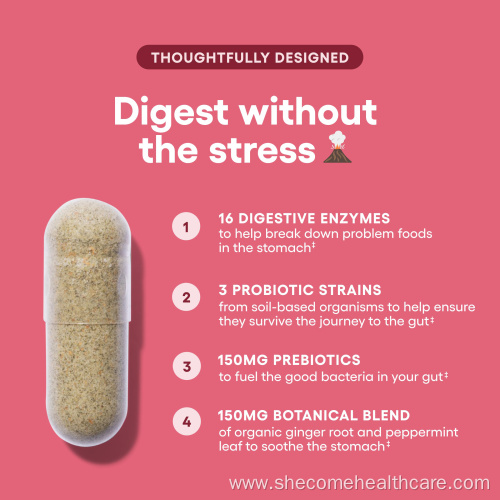 Organic Prebiotics Probiotics Capsules for Digestive Health